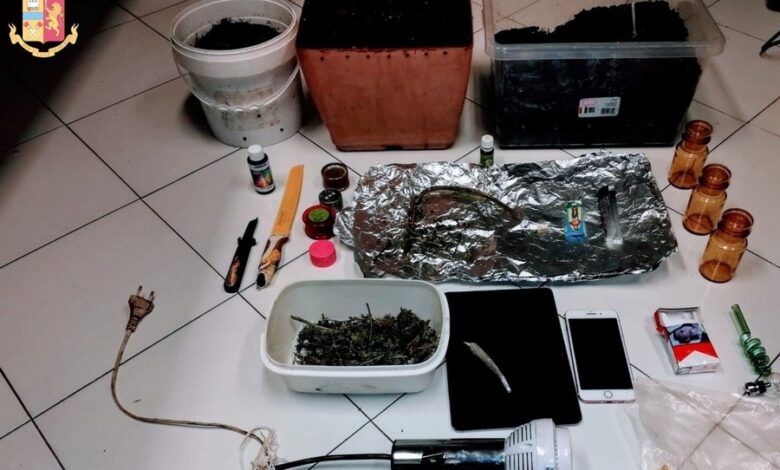 Baby pusher coltiva marijuana in casa: arrestato 17enne a Cava de’ Tirreni