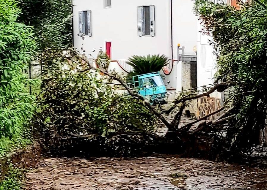 Cava de’ Tirreni, maltempo: alberi caduti e smottamenti a via San Felice a Sant’Anna￼